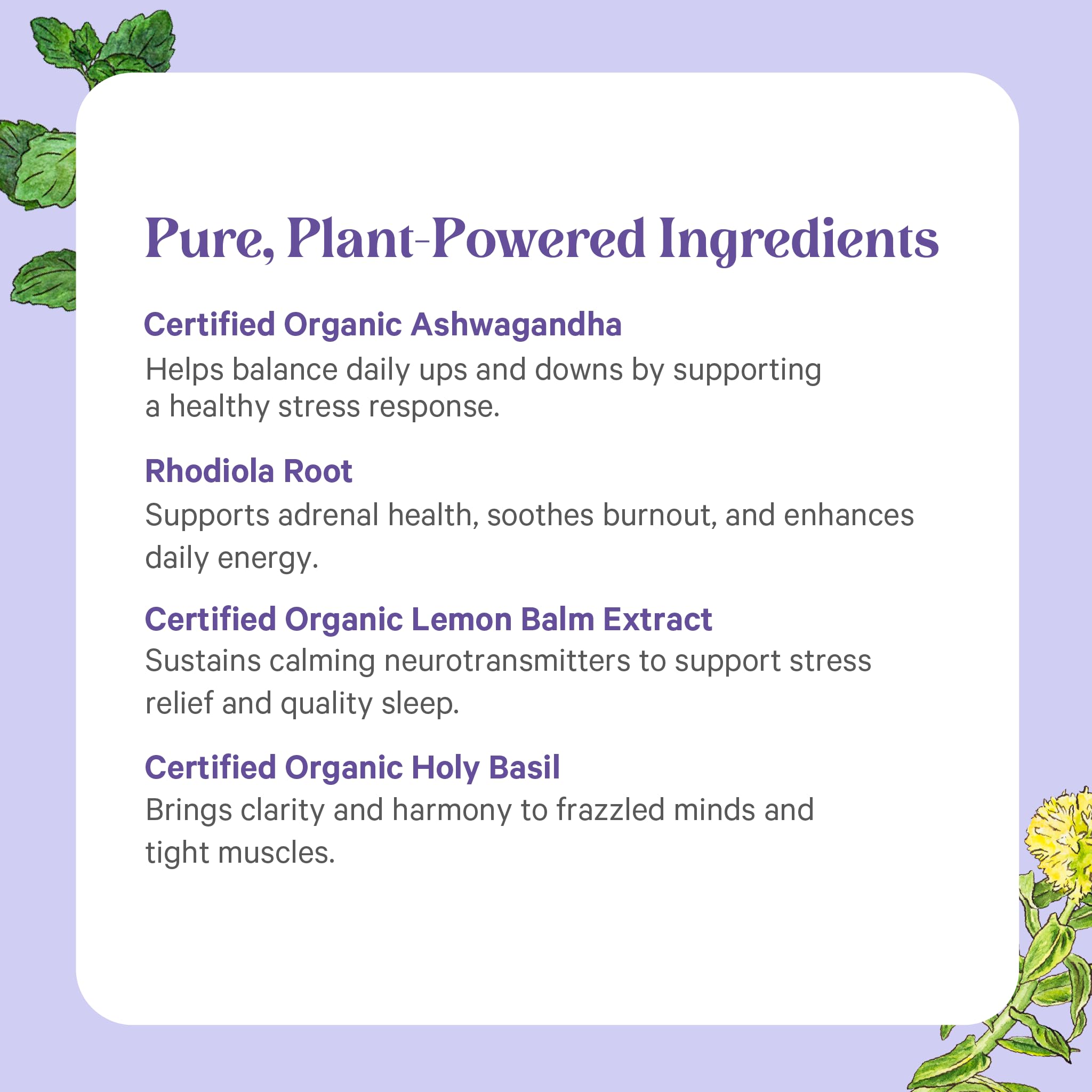 PURE SYNERGY Stress Remedy Supplement with Ashwagandha (60 Capsules) — Amazon image 5
