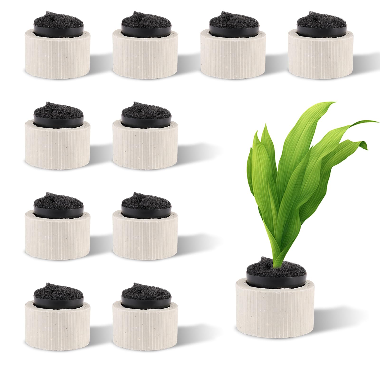 Fatiya 10 Pieces Anti-Floating Aquatic Plants Fixed Rings Set, Porcelain Aquarium Plant Weights Pot with Sponge, Aquatic Planting Fixed Basket Weights for Fish Tank Decoration Landscaping (Black)