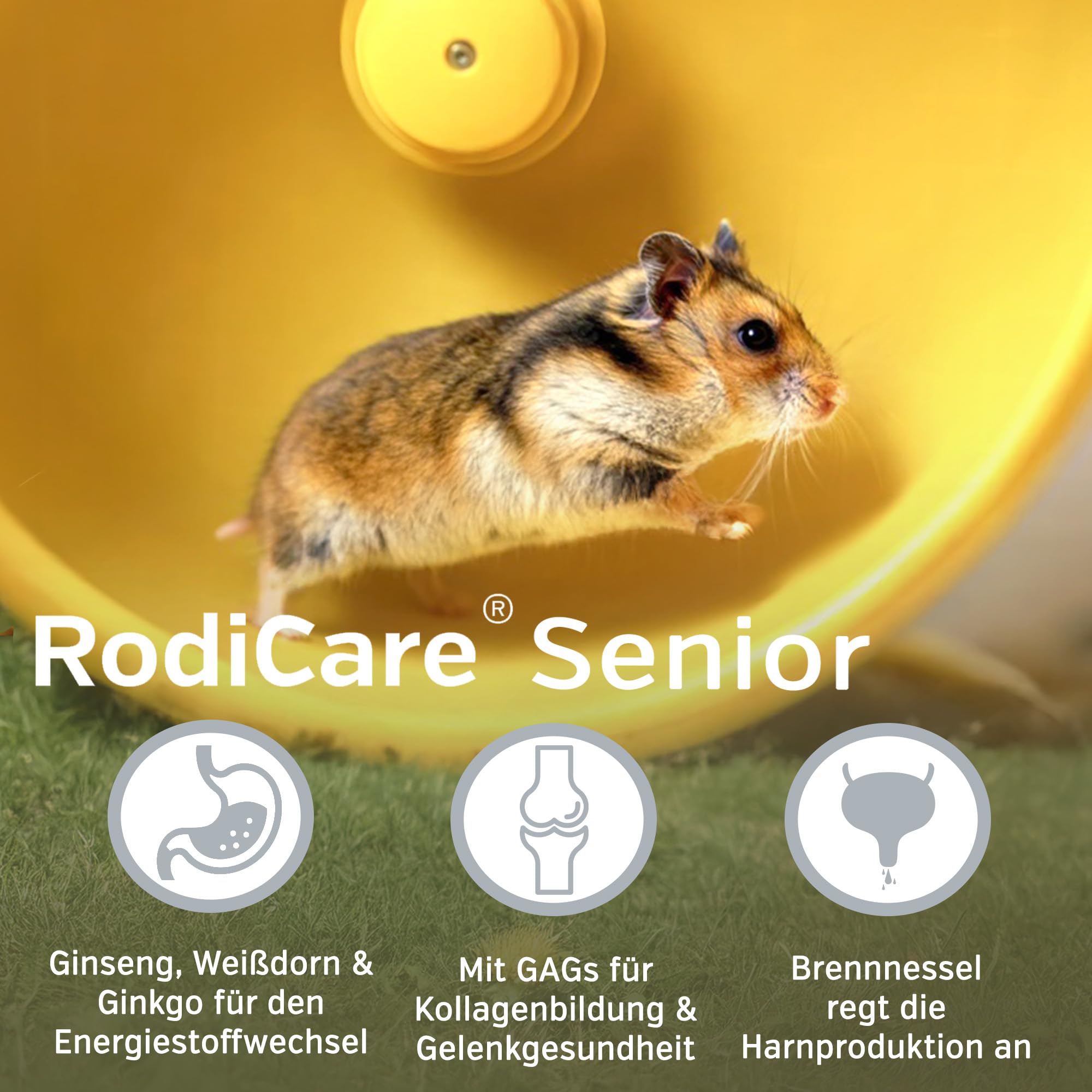 alfavet RodiCare Senior Complément Alimentaire pour Lapins Cochons d'Inde Petits Rongeurs Ginseng Ginkgo Aubépine 20 ML