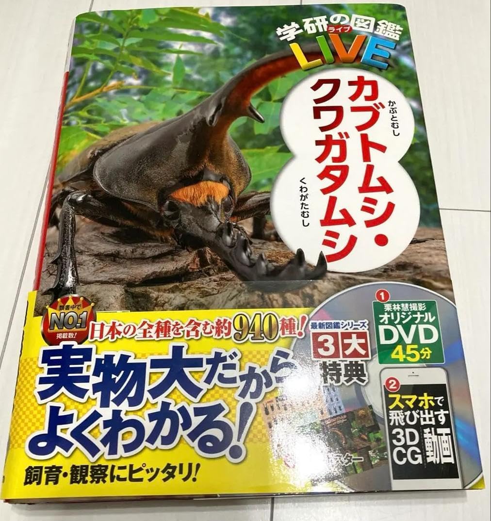 ペアヘラクレスオオカブト（ブリュゼニ）のオブジェ（標本） <0429z