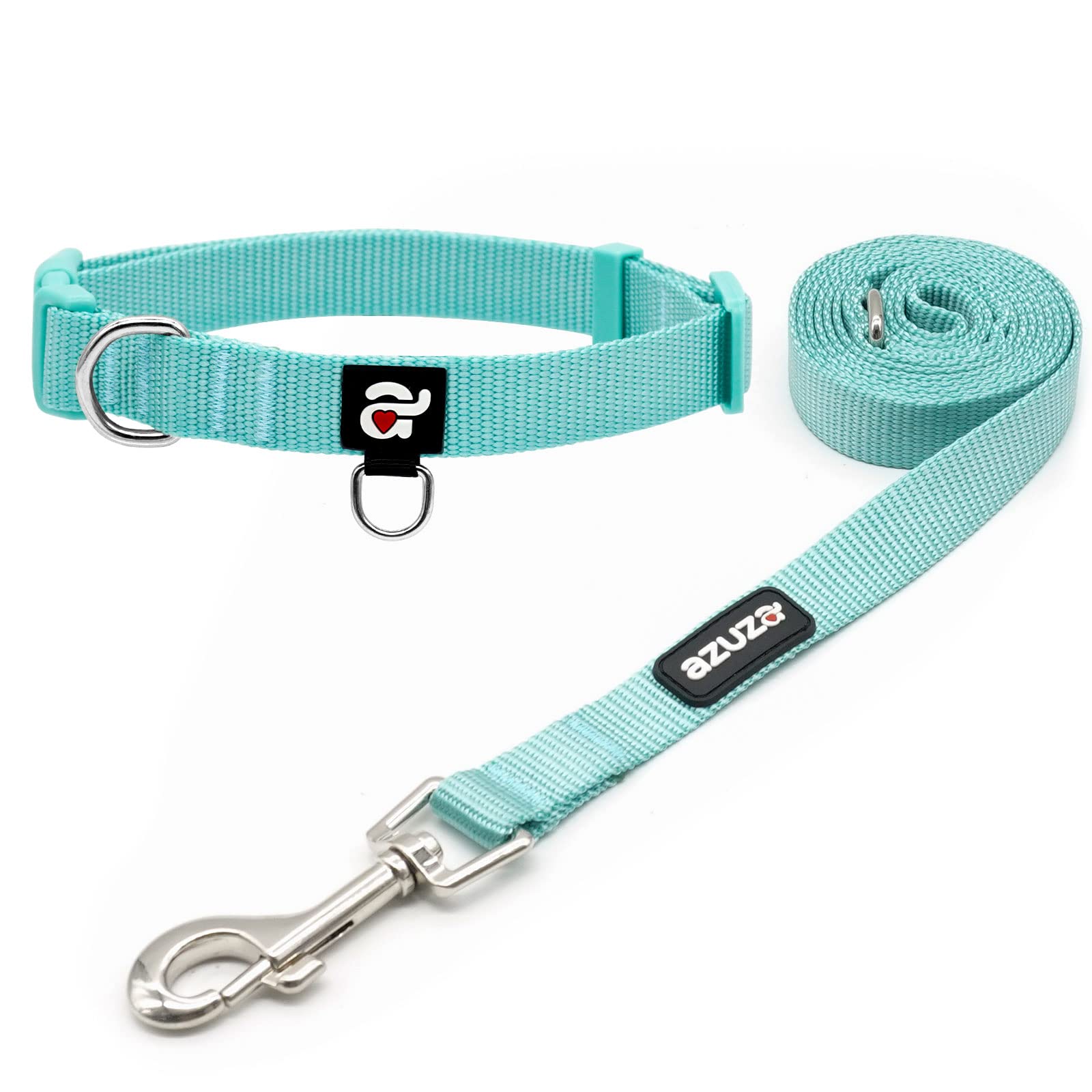 How Do I Get My Puppy Used To A Leash