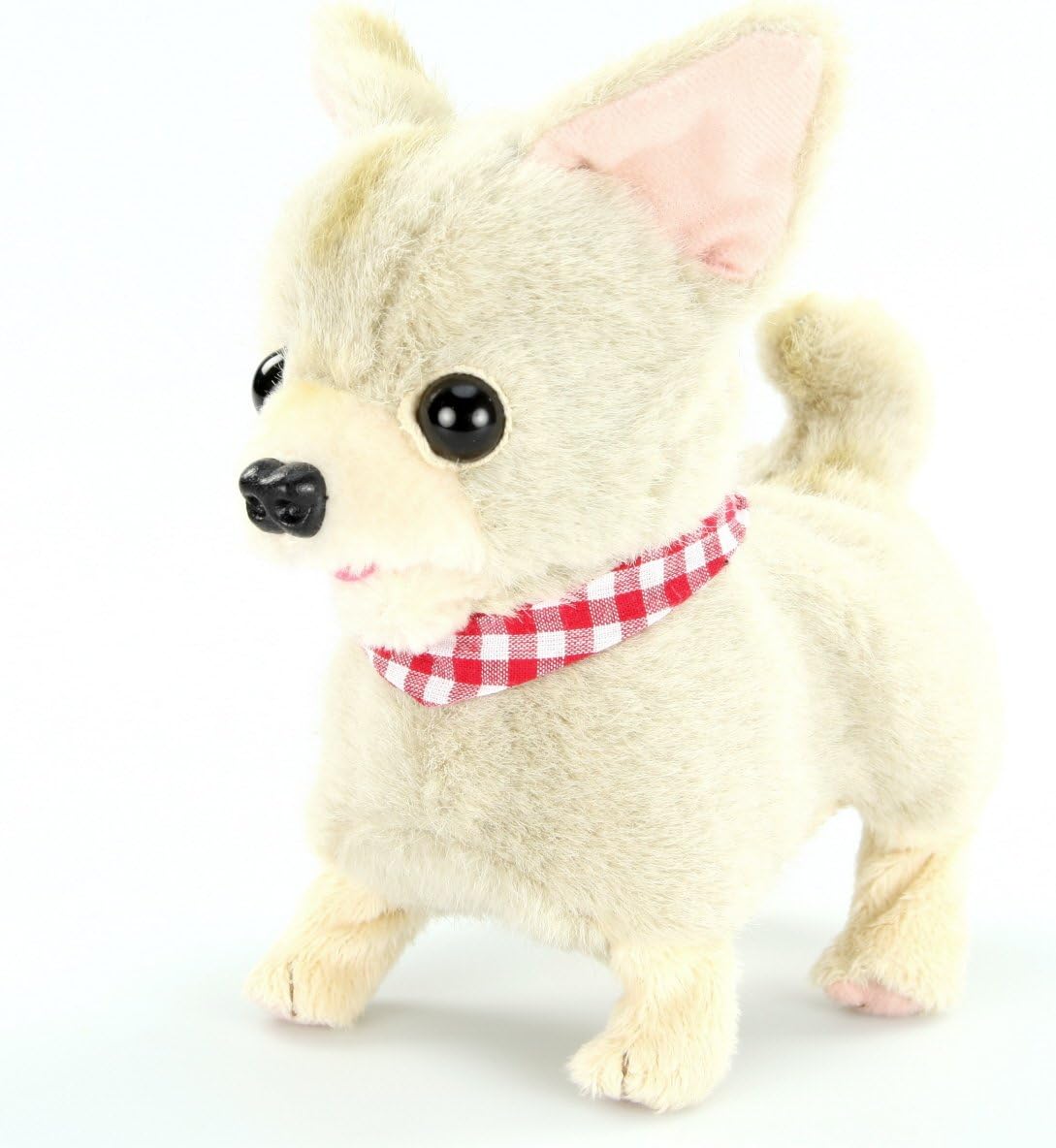 Has A Chihuahua Ever Won The Westminster Dog Show