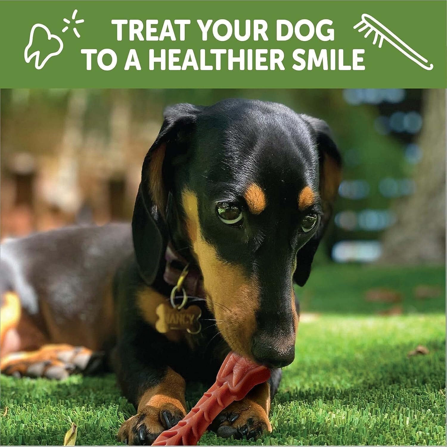 WHIMZEES X-Small Toothbrush Natural Healthy Daily Dental Dog Treats - 2 Pack