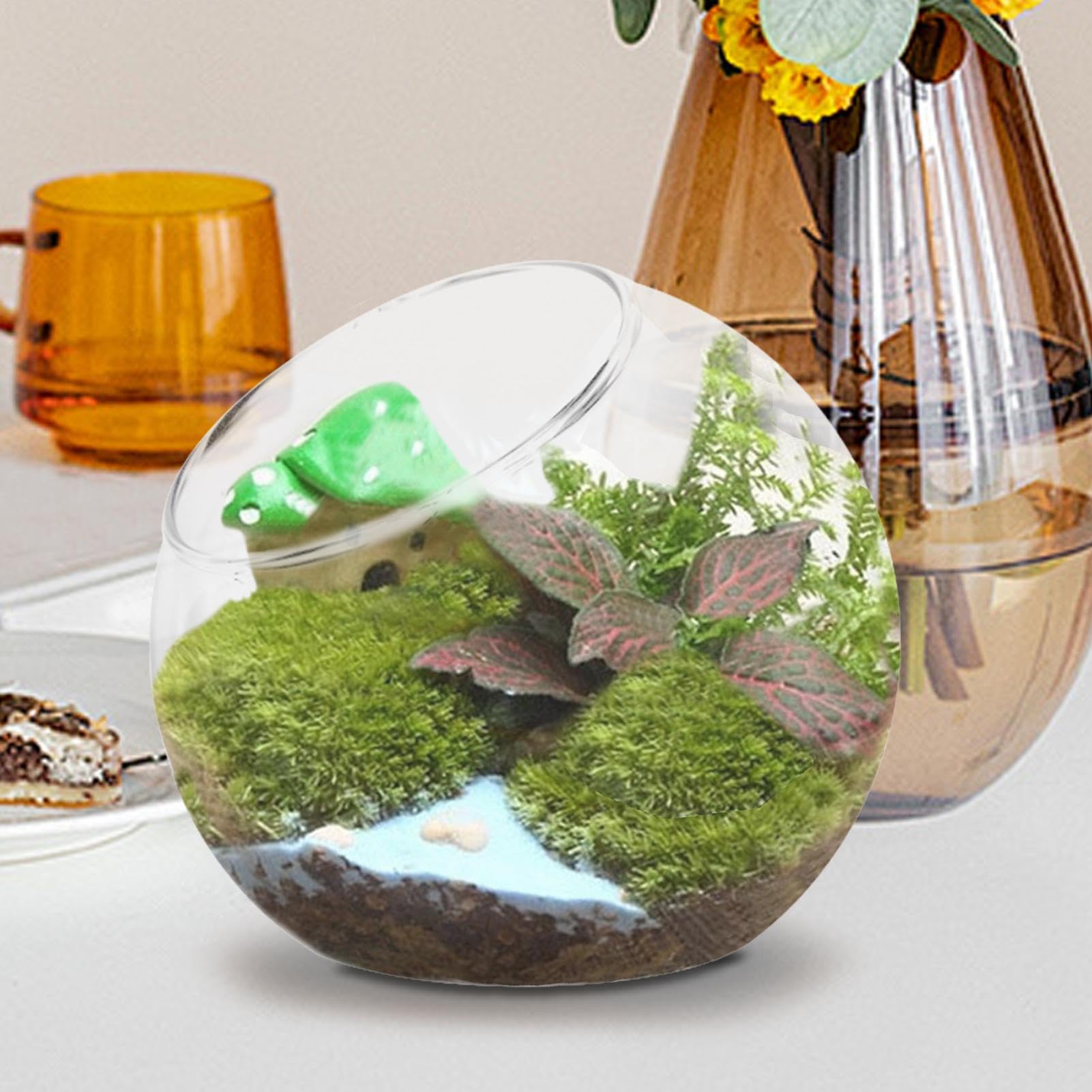 Vase rond en verre pour terrarium - vase en verre - Bouche inclinée - Décoration d'intérieur - Centre de table pour grasses et plus encore