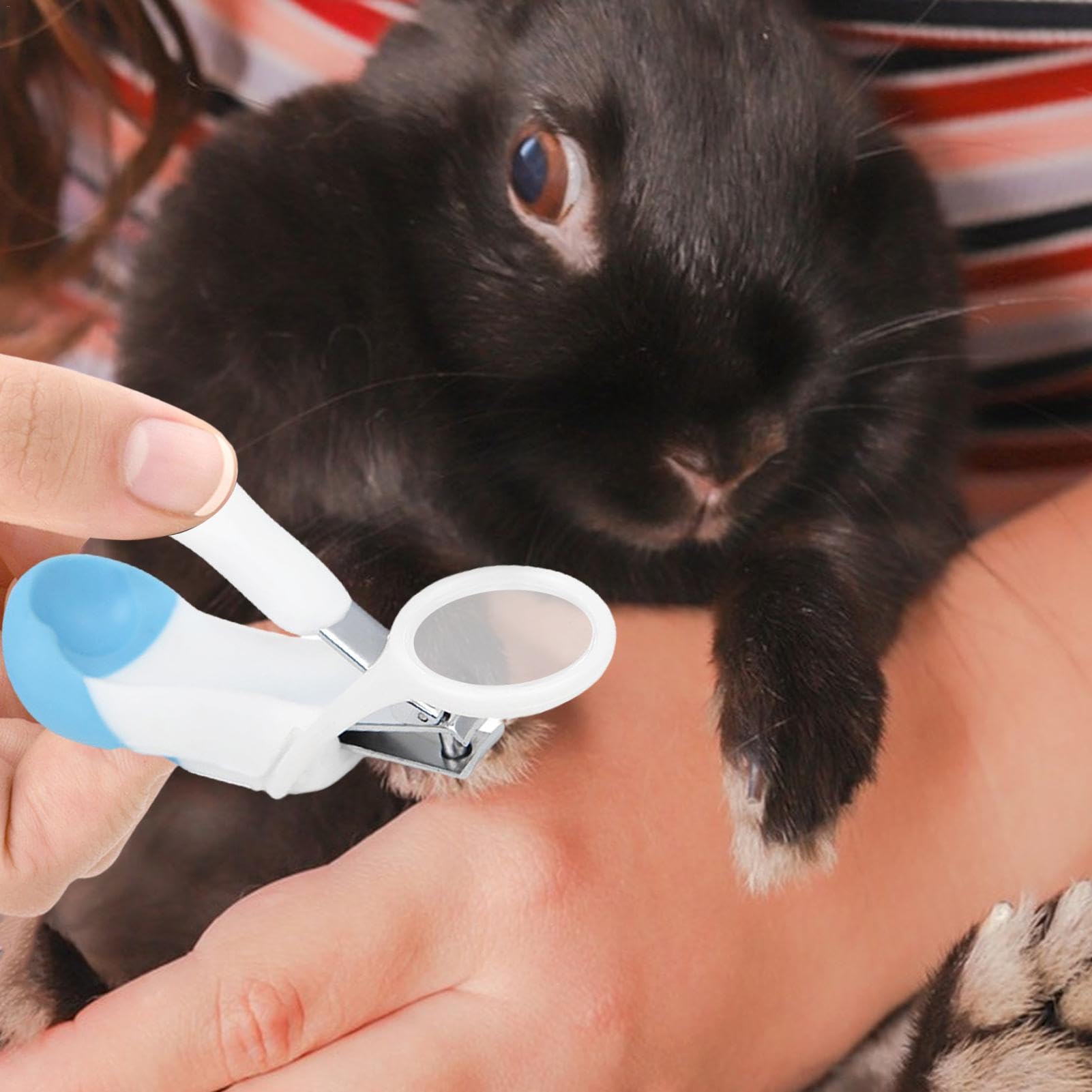 小動物飼育セット　ゲージ　ペットキャリー　うさぎおやつ　リード　トリマー　爪切り Amazon | ウサギの爪切り、ペットの爪切り,多用途モルモットネイル