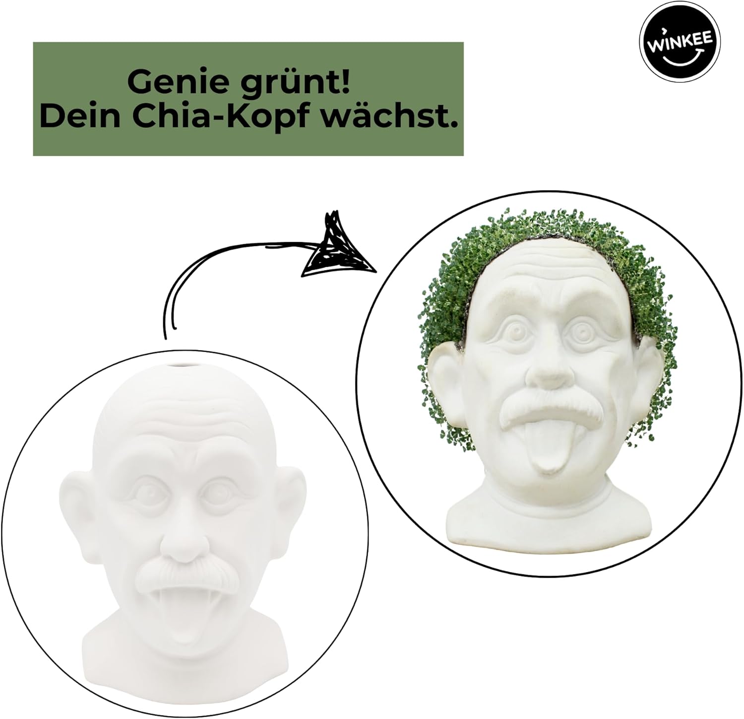 Winkee - Chia Genie I Chia Plant Animal as Ceramic Bust I Propagation Tray for Chia Seeds Growing I Chia Seeds Starter Kit