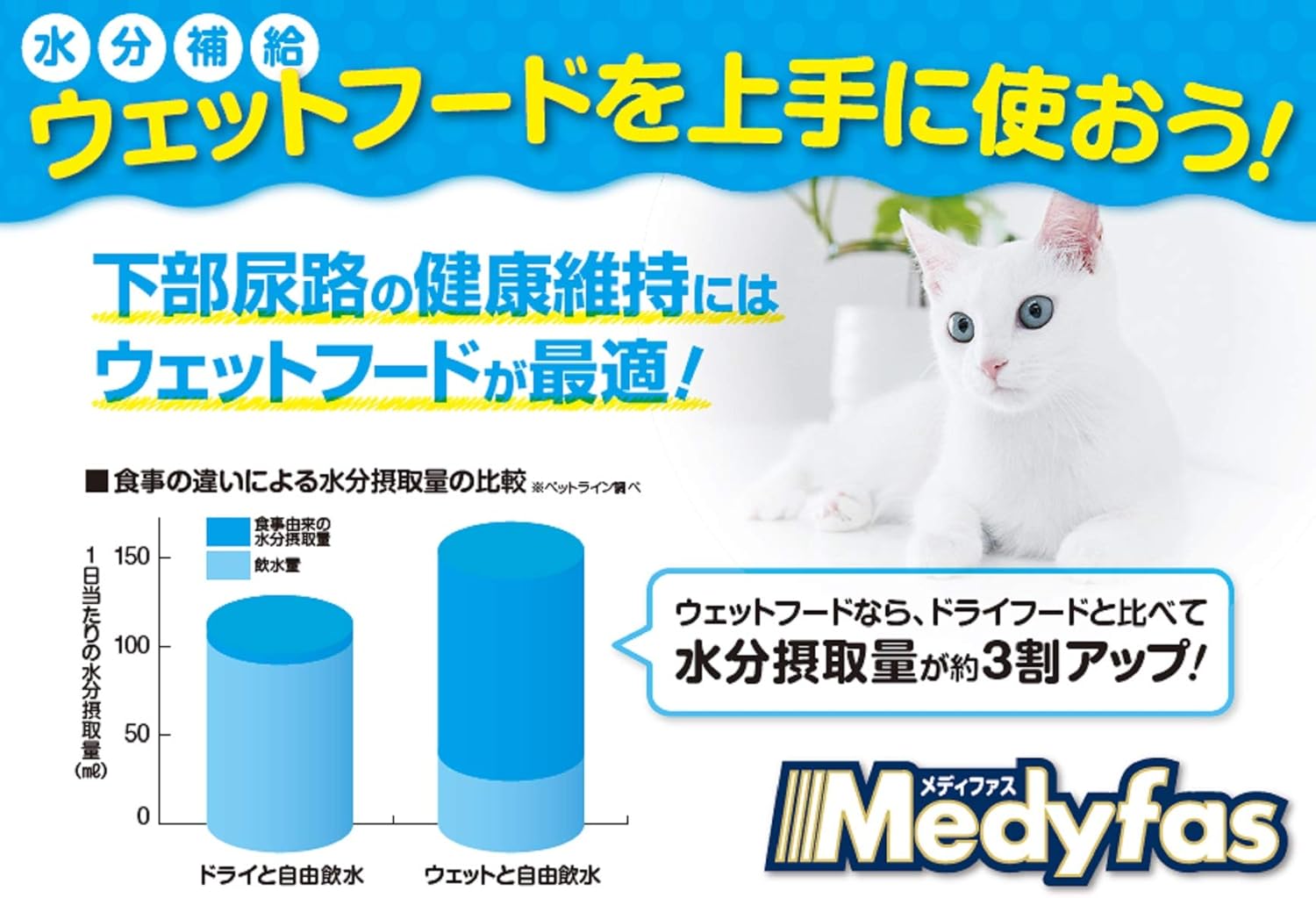 Amazon  メディファス キャットフード ウェット 子ねこ 12か月まで 