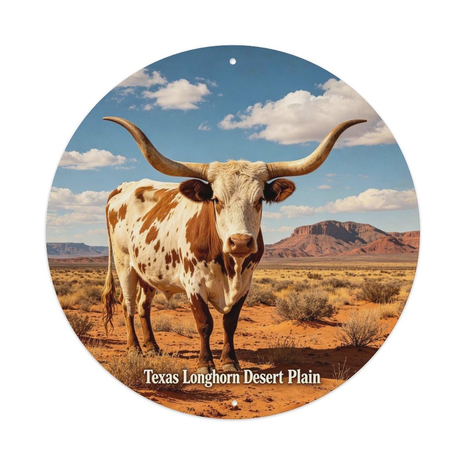 Texas Longhorn Desert Plain Metal Tin Sign Plaque