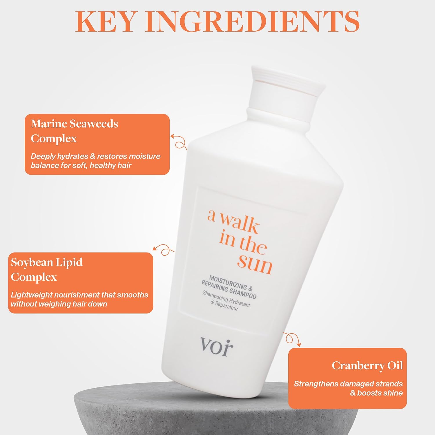 Voir Haircare Moisturizing & Repairing Shampoo – Sulfate-Free Hydrating Shampoo for Dry to Damaged Hair & Split Ends | Lightweight Nourishment & Gentle Daily Cleanse, 8.4 Fl Oz