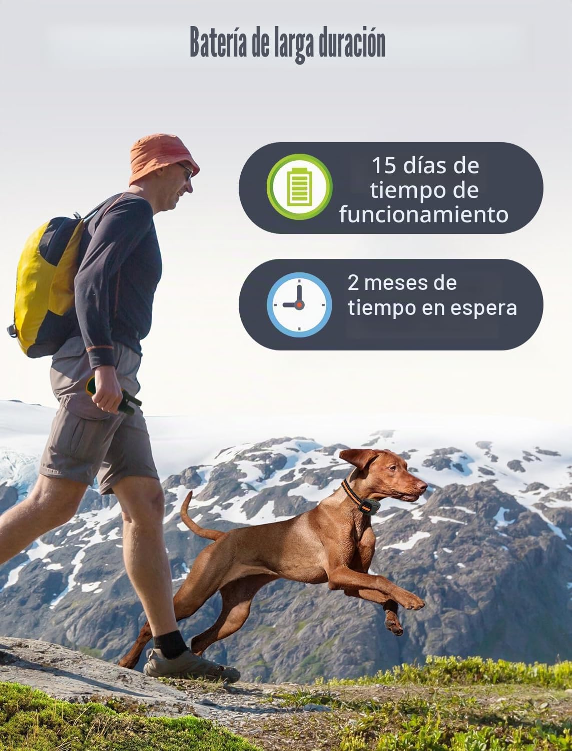 Collar de Adiestramiento para Perros, Alcance de 2600m, Cumple con la Ley de Bienestar Animal 2024, 3 Modos: Sonido/Vibración/Boost Vibración, para Perros de Todos los Tamaños | Manual en español