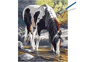 Rasugarlary Paint by Numbers for Adults, Horse DIY Paint Kit for Beginner