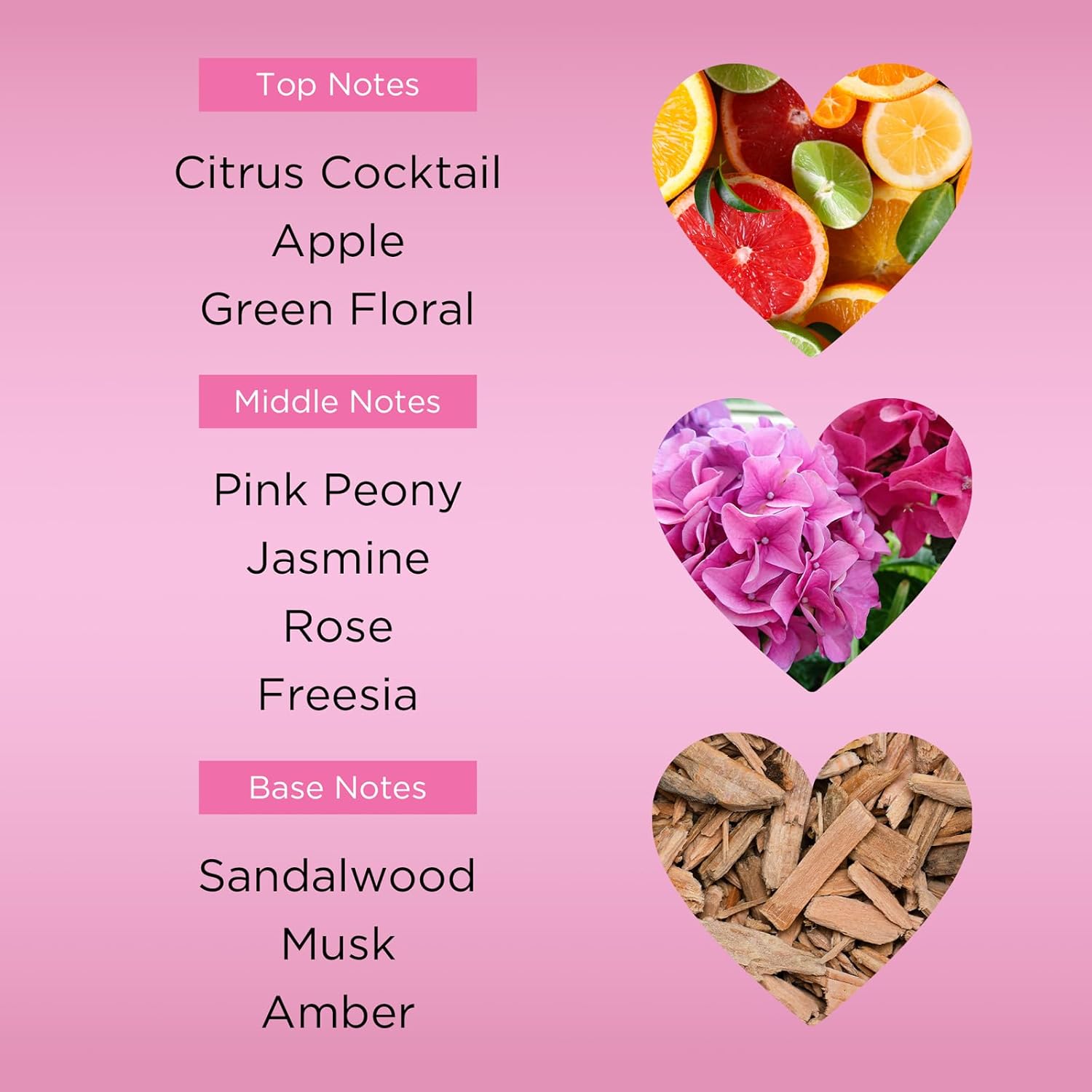 Bebe Sheer Eau de Parfum Spray for Woman - Long Lasting Amber Floral Womens Fragrance - Notes of Citrus Cocktail, Pink Peony and Sandalwood Perfume for Women - 3.4 oz - Image 3