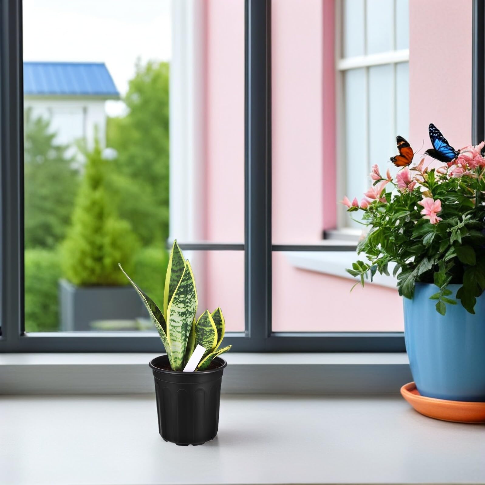 Anneome Lot de 50 Pots de Semis Ronds en Plastique Noir avec Trous de Drainage Diamètre 165 CM pour Plantes D’Intérieur et Extérieur Pots de Pépinière Polyvalents pour Repiquage et