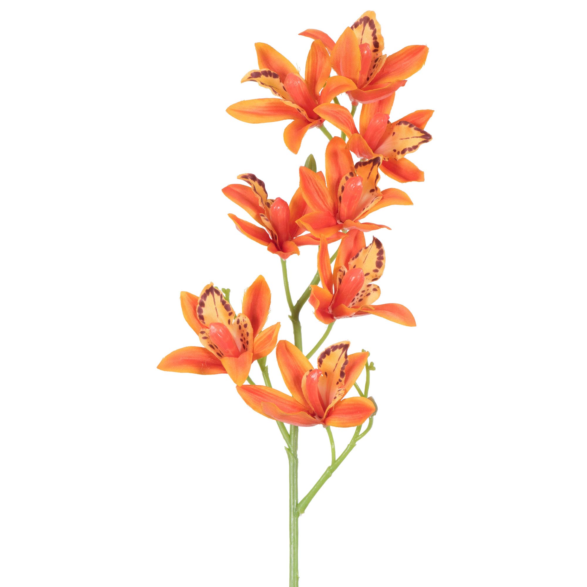 Amazon.com: Vickerman 32