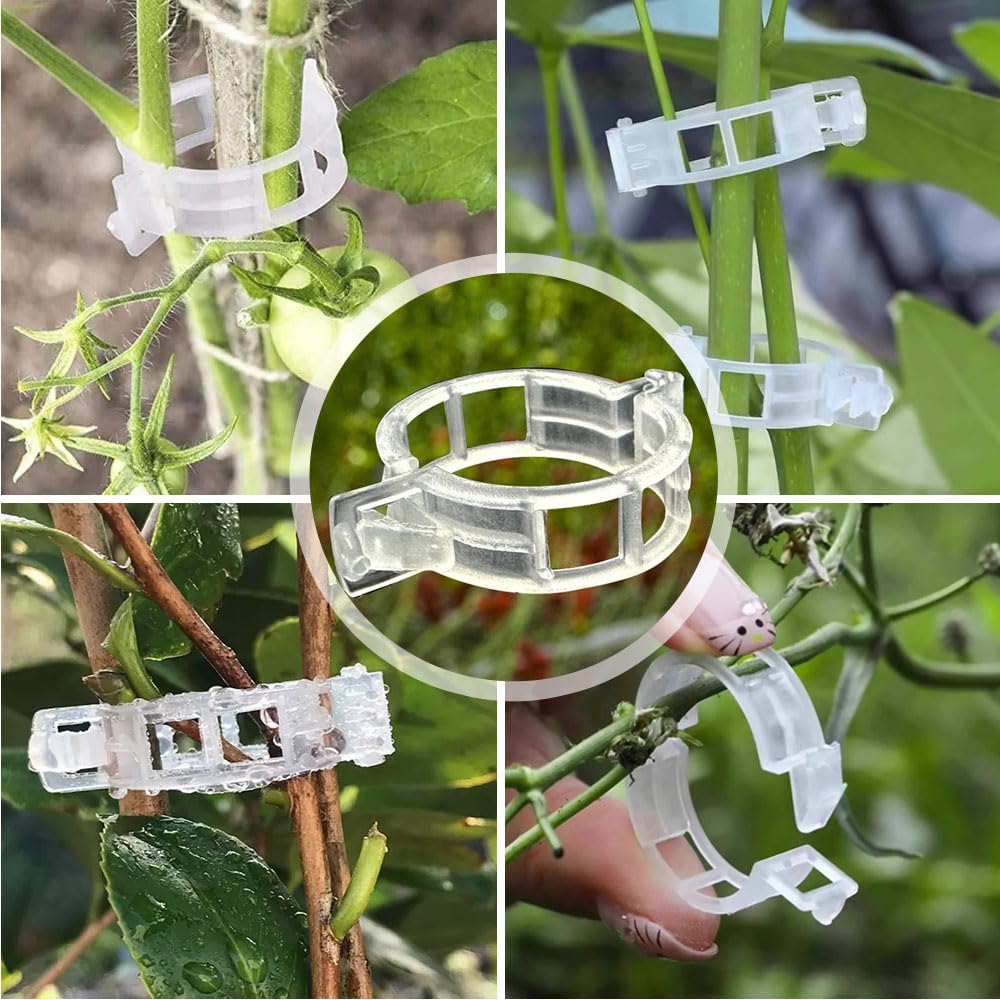 Pflanzenclips für Kletterpflanzen, Pflanzenstütz-Clips aus Kunststoff, Gartenclips, Kunststoff-Spalier-Clips, Tomaten, Weinreben, Gemüse, Pflanzenbefestigungsclips, Gartenbedarf (150, Grün)