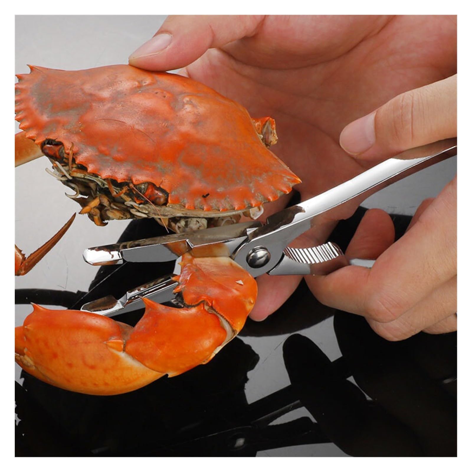 Kit de herramientas para mariscos de acero inoxidable: tenedor para mariscos, cuchara para recoger langosta, herramienta para camarones, mariscos, nueces, mariscos, langosta y galletas de cangrejo