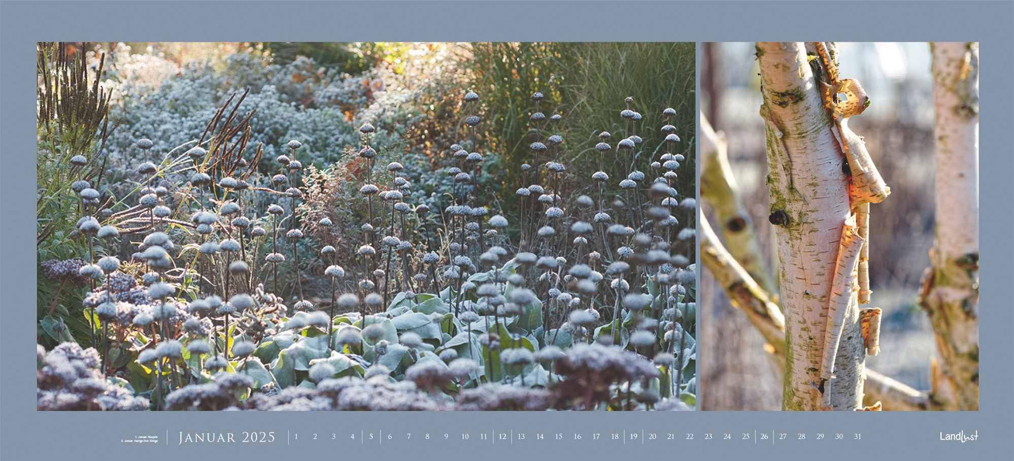 Landlust - Garten-Kontraste Panorama 2025, 110x50cm, Wandkalender mit Garten-Motiven im Großformat, Schönheit des Gartens in vielen Facetten, Spiralbindung, deutsches Kalendarium