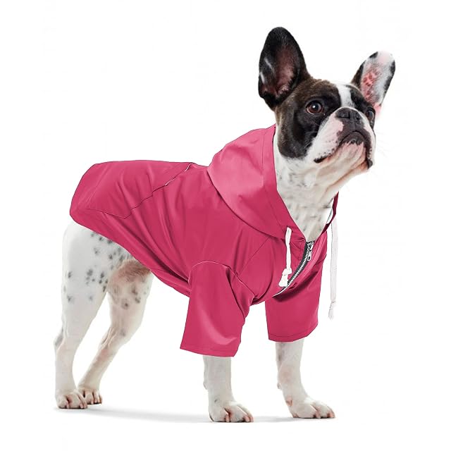 Foto 2 de 7 de Pethiy - Elegante Chubasquero para perros