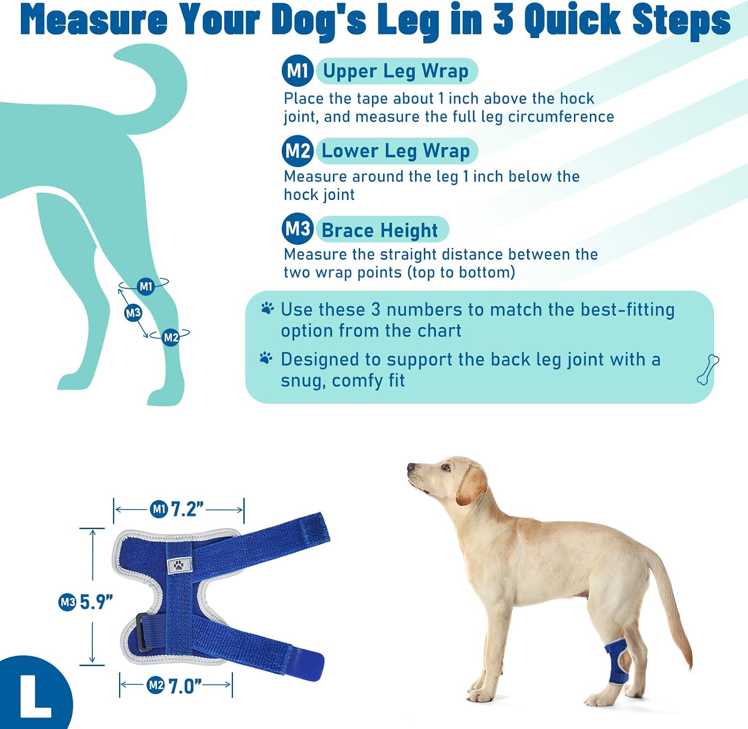 Dog Leg Braces for Back Leg- Hock and Ankle Joint Support Brace for Rear Legs with 2 Metal Strips, Reflective Edging for Sprain, Injury, Arthritis, Wound Recovery,Blue,L