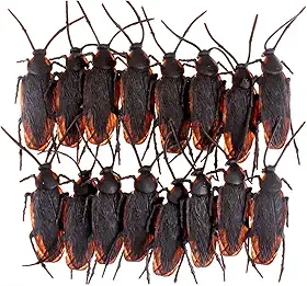 Baratas de Borracha Falsas Realistas Brinquedos Insetos para Pegadinhas Assustadoras e Festas com Temática Terror