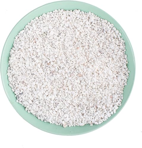 Avalution Suculentas de grava blanca de 0.236 a 0.315 pulgadas y cactus bonsái, proyectos de bricolaje, rocas, plantas de ónix blanco, rocas para