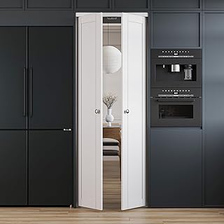 French Pivot Door for 30