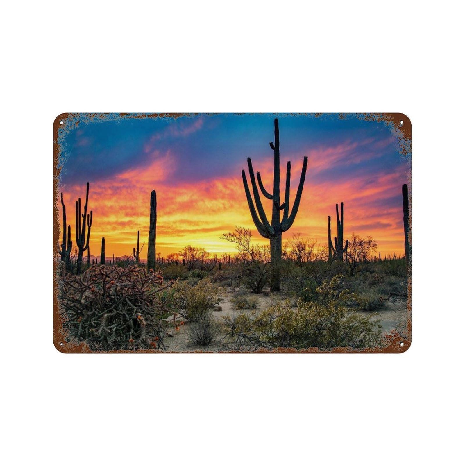 xiaoxiaoshen Real Photo Arizona Decor USA Wall Decor Art Metal Tin Poster Modern Home Decor Art Home Bar Shop Decorations Vintage Sign 20x30cm