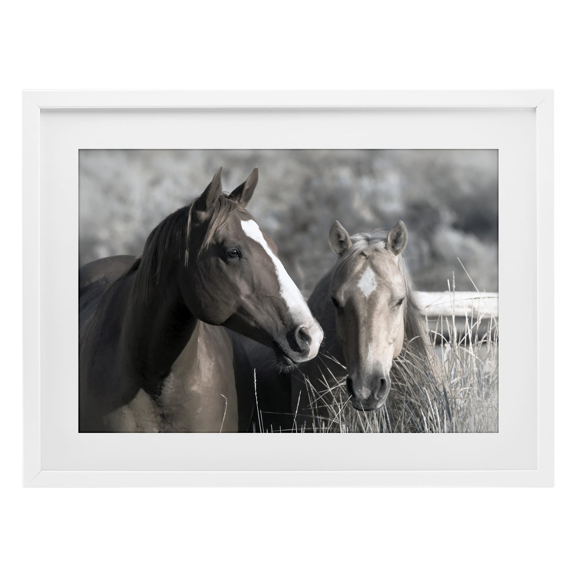 Stupell Industries Coastal White (Textured) 'Content Horses In Pasture'| Framed Print Under Glass