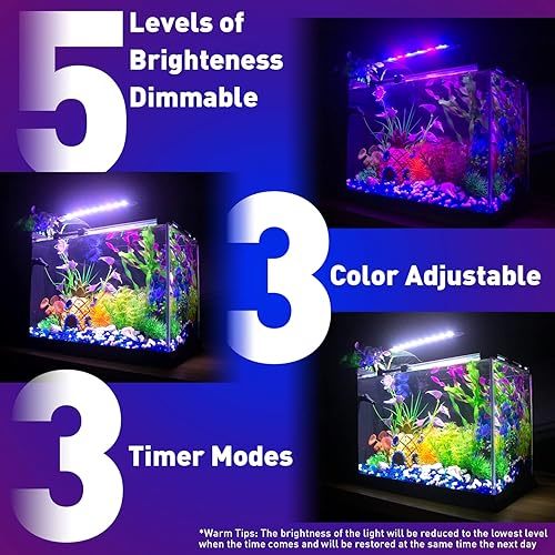 Miniatura 4 de Kits de iniciación de acuario pequeño de vidrio de 5 galones con luz LED y filtro para Betta Shrimp Guppy Jellyfish Goldfish Beta, decoración de