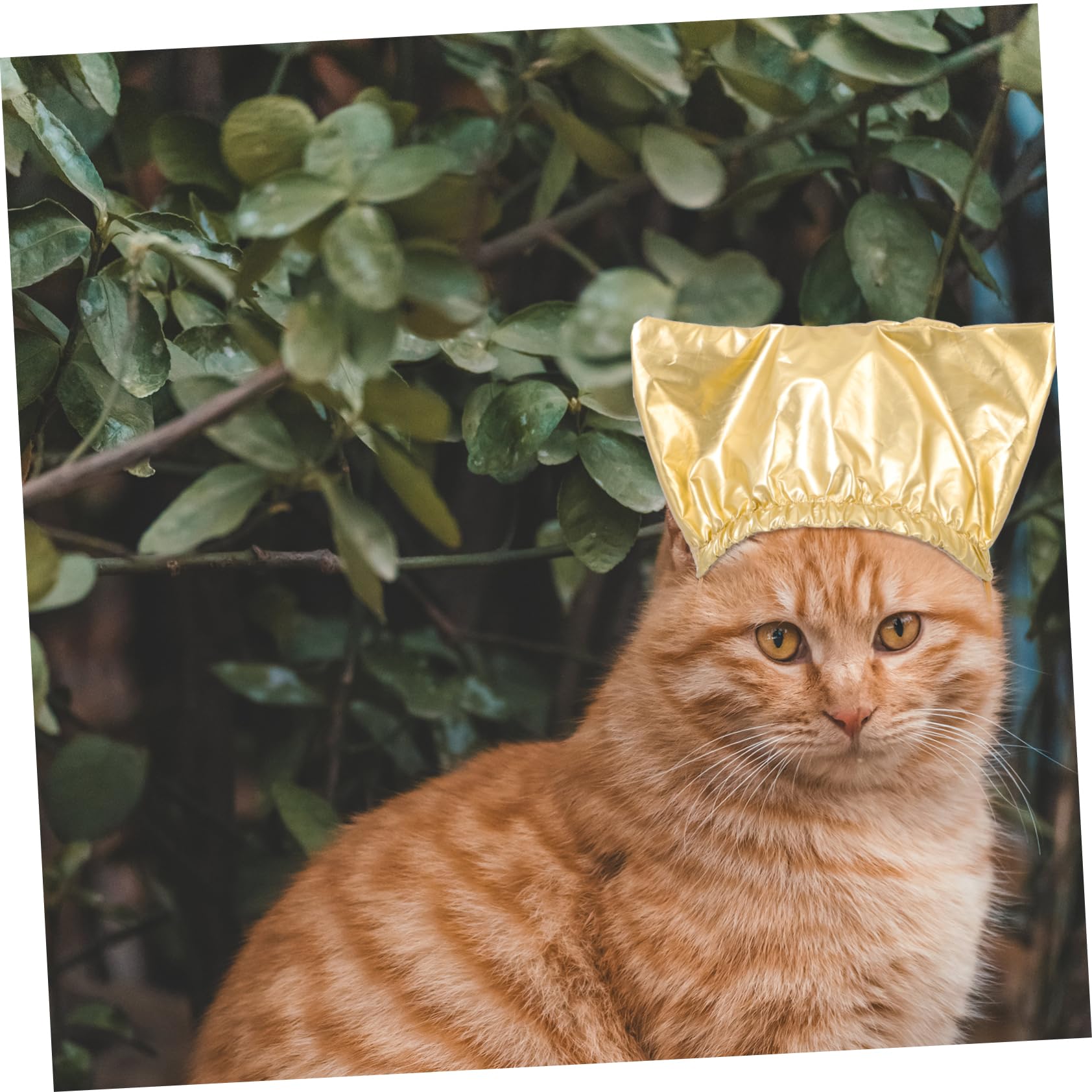 BCOATH 2Pcs Puppy Shower Caps Pet Bath Hats for Dogs Cats Ear Protection Breathable Durable Design for Bathing and Grooming