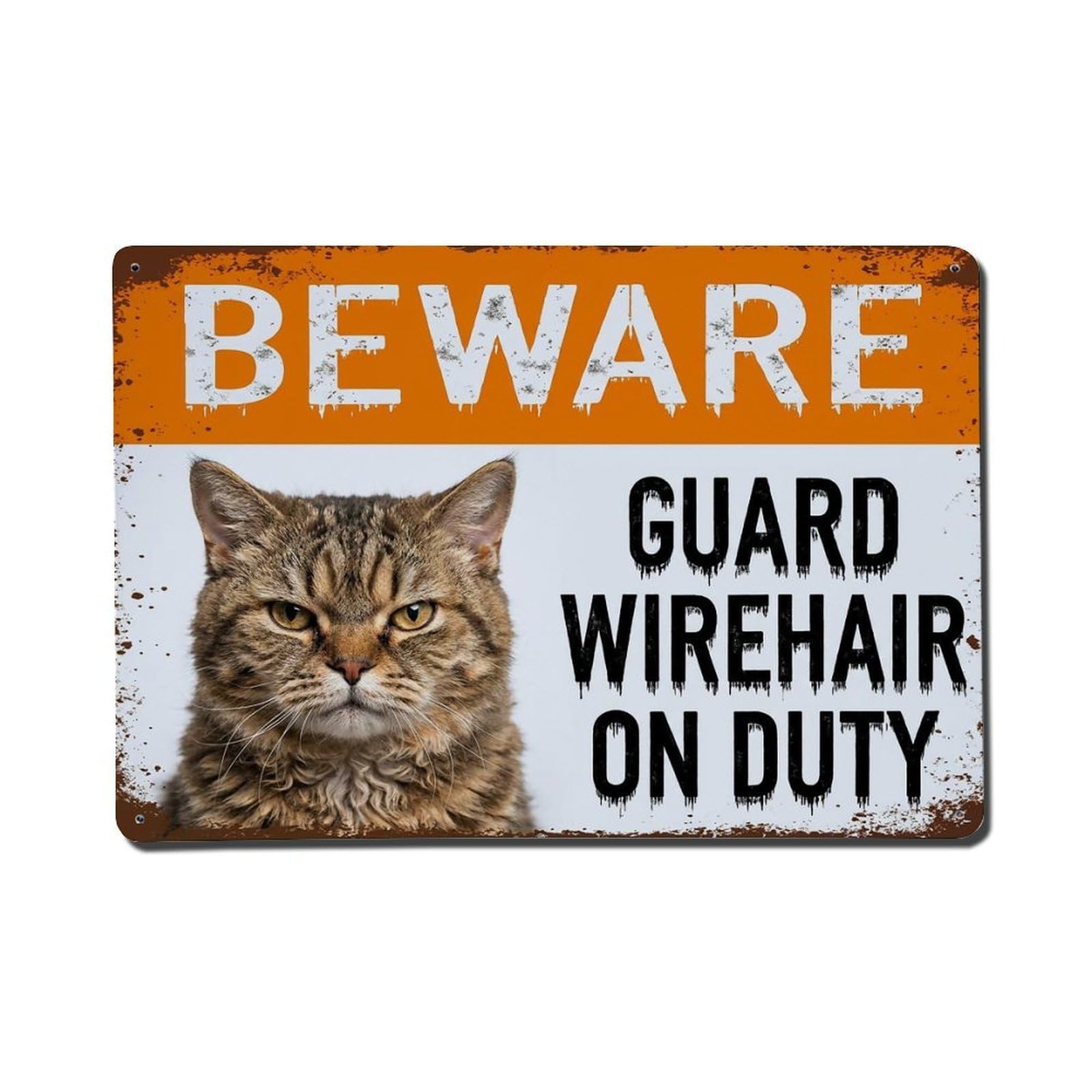 Vintage Funny American Wirehair Guard Beware of Cat Patio Metal Tin Sign Plaque Wall Decor for Cafe, Club Bar, Office, Garden Metal Poster 8x12Inch