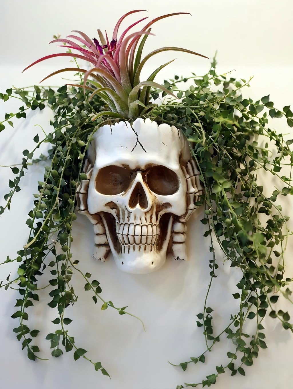 Resin Gothic Skeleton Air Plant Planter for Tilandsia(7'',No.2)