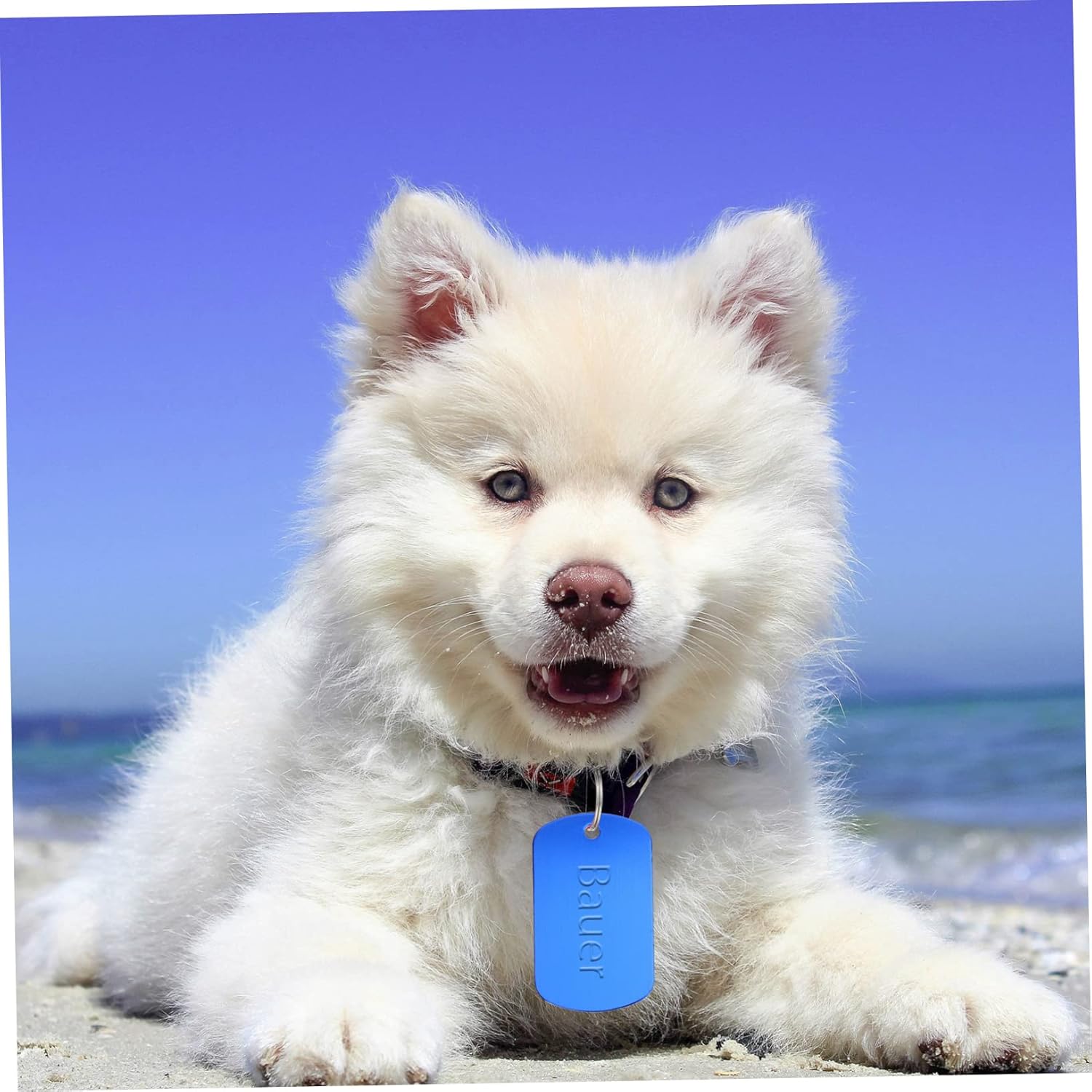 Housoutil 96pcs Blank Pet Id Tags Alloy Dog Name Tags for Cats Kittens and Pets Lightweight for Projects and