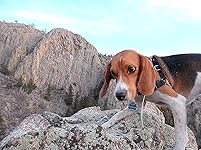 Review Image by Mountain Myth Mountain Myth