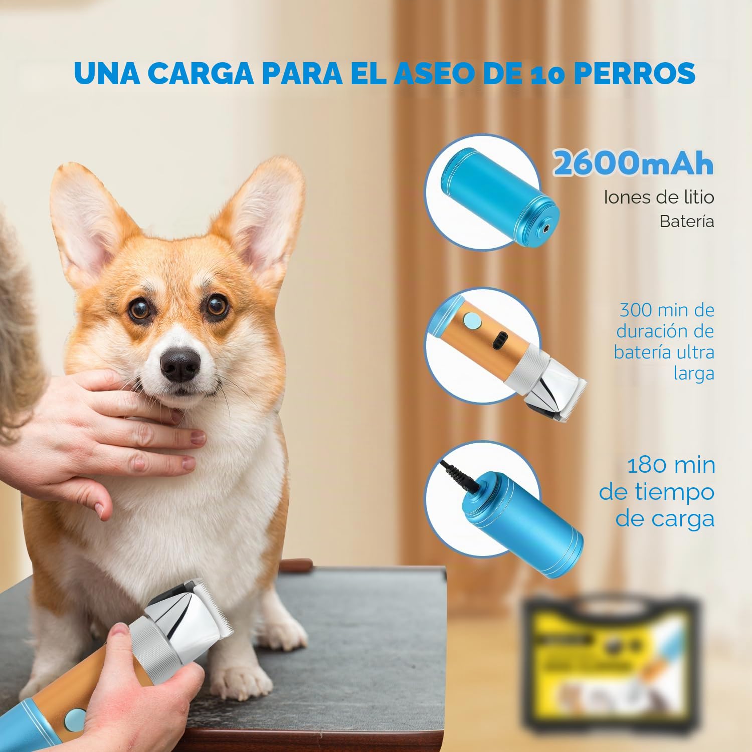 CGOLDENWALL 400W Cortapelo para Perros Gatos Mascotas Profesional Batería Recargable con Cabezal de Corte Extraíble de 3mm + 6mm - 5h en Espera - Bajo Ruido Menos de 50db