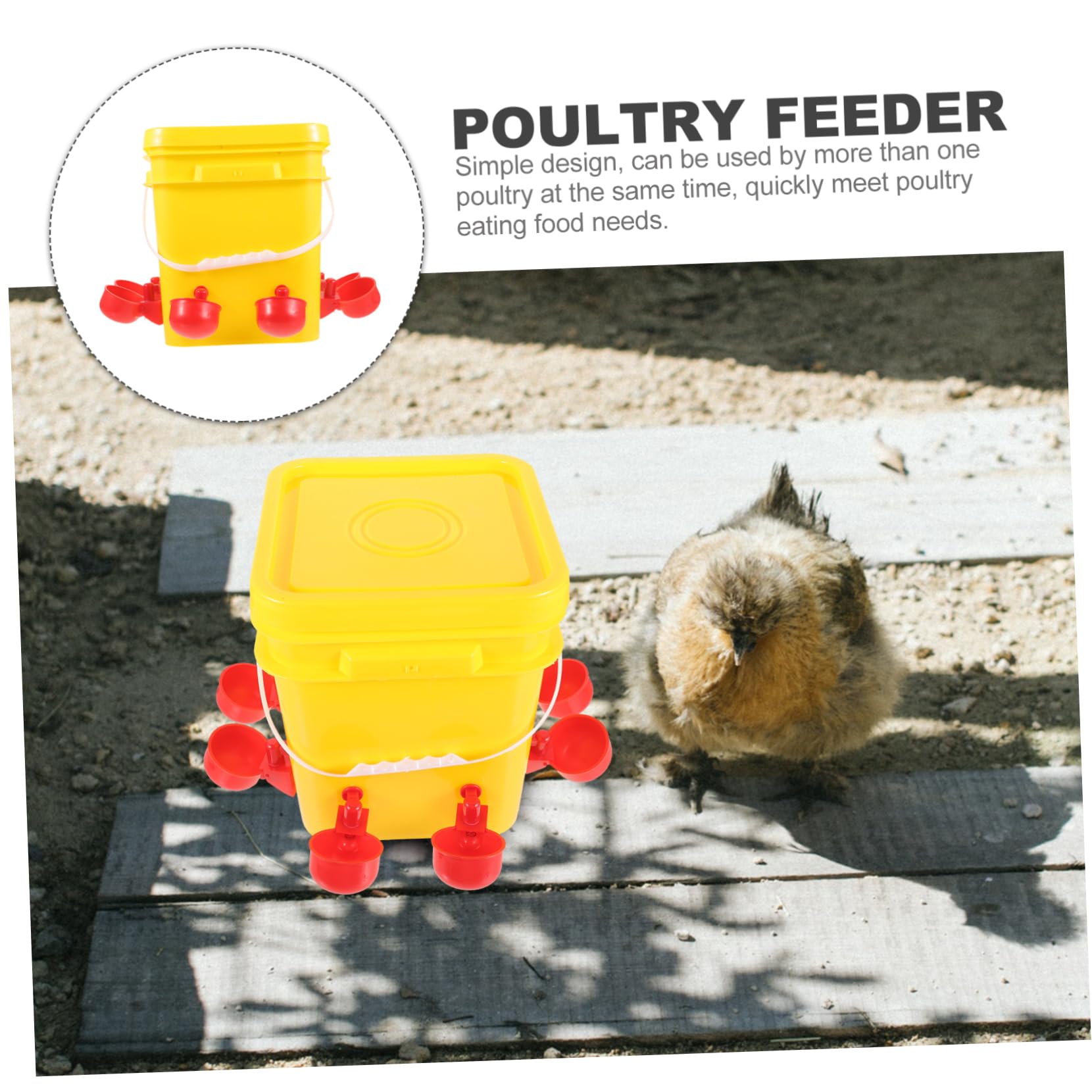 Sosoport Mangiatoia Per Pulcini in Contenitore Per Cibo Per Avicoli Portatile Forniture Per Allevamento Per Alimentazione Resistente e Facile Da Pulire