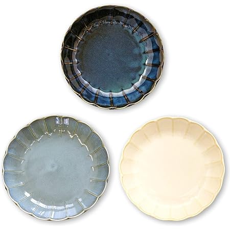 Amazon ディナー皿 2枚セット 径21cm 約900ml 紺 日本製 美濃焼 ネイビー ブルー プレート パスタ カレー セット パスタ こだわり食器と雑貨のお店irodori カレー パスタ皿