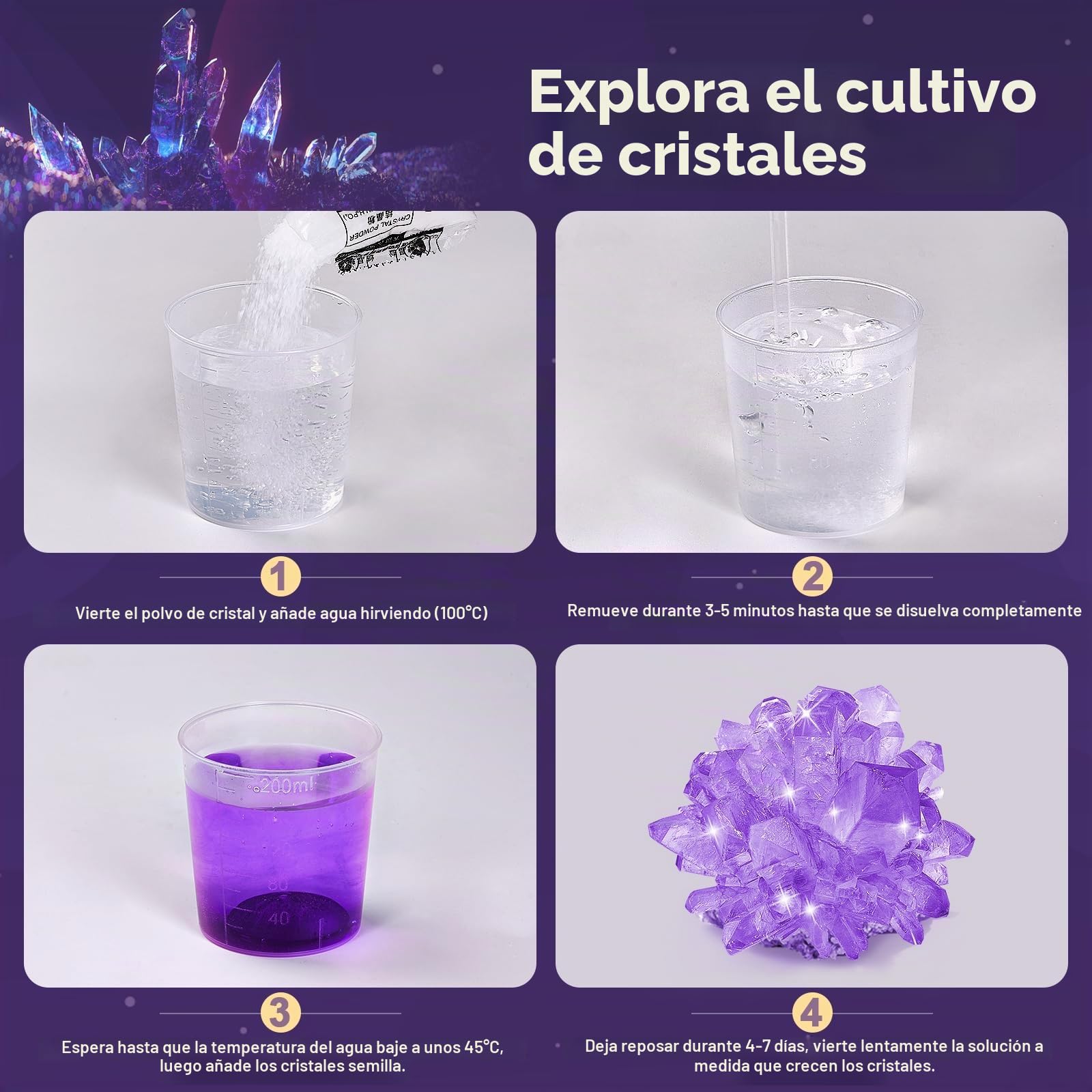 Kit de Excavación de Gemas y Minerales, Piedras y Cristales Naturales, Excava 12 Fósiles Prehistóricos Genuinos, Geoda, Regalo para Niños y Niñas 3-12 Años