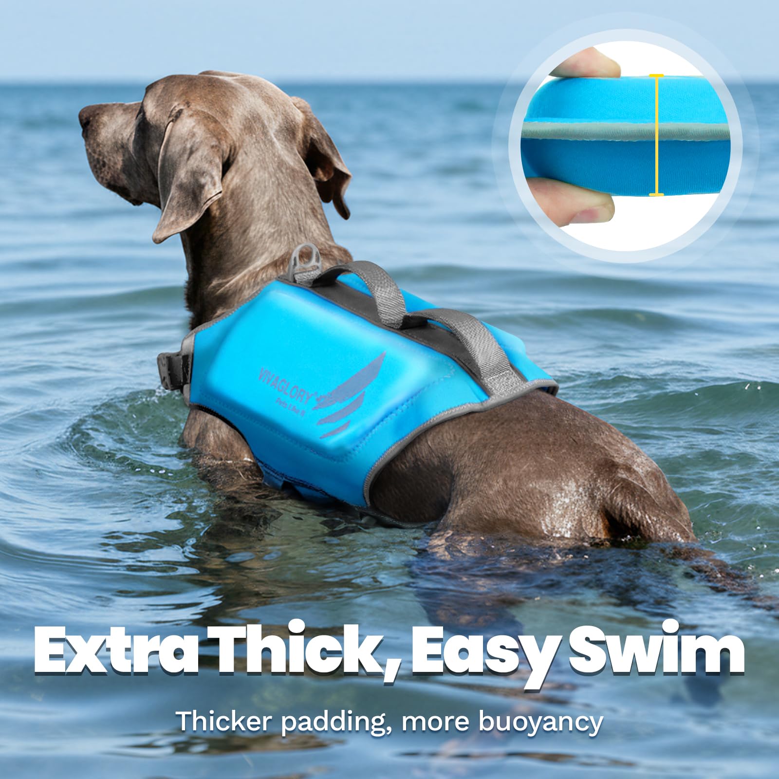 VIVAGLORY High Buoyancy Gilet de Natation pour Chien, Gilet de Sauvetage pour Chien, Usage Nautique Canin, Aide à la Nage et Flottabilité, L, Bleu