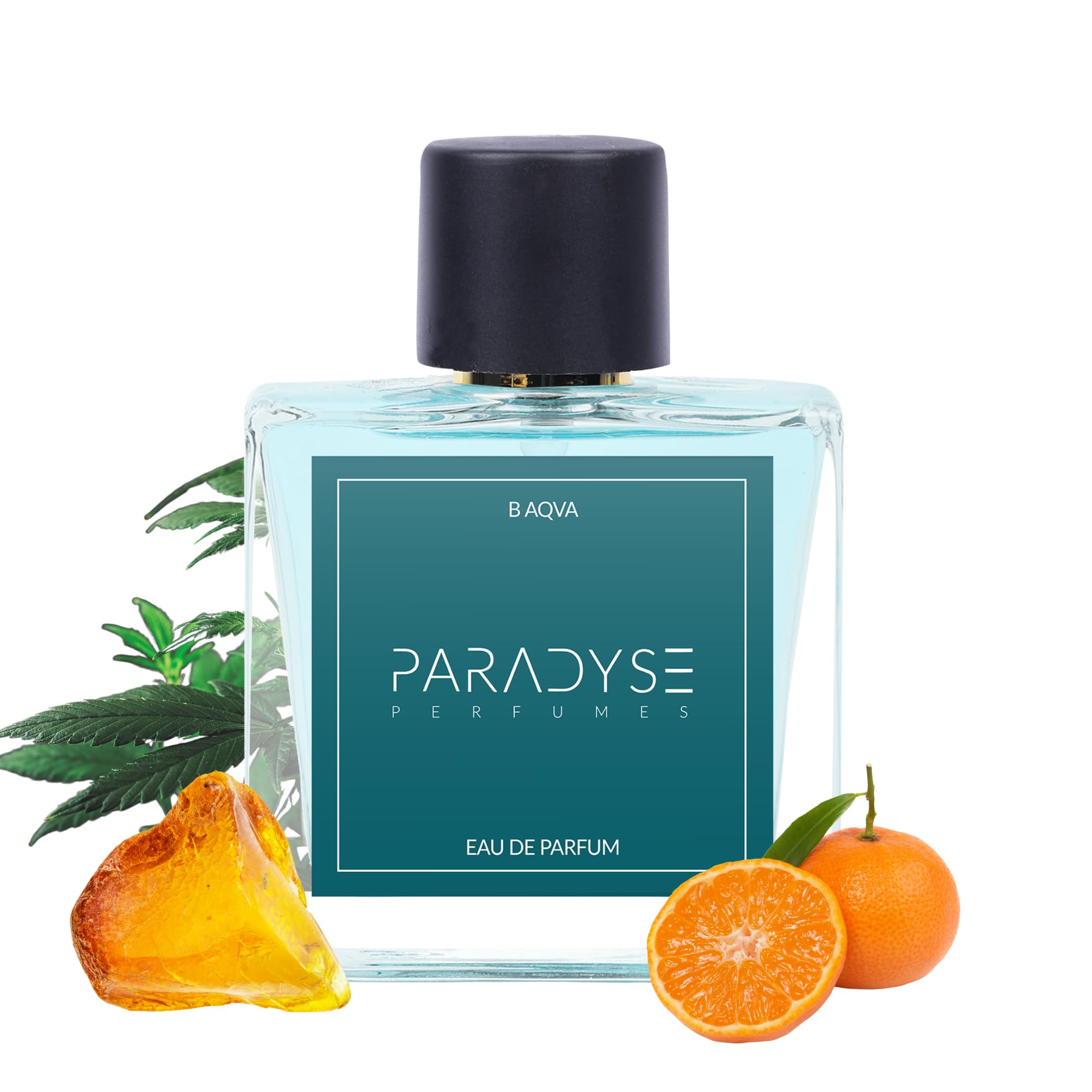 PARADYSE PERFUME™ B Aqva | Eau De Perfume for Men With Citrus, Marine, Aromatic, Woody Premium Strong and long Lasting Fragnance| Gift for Him