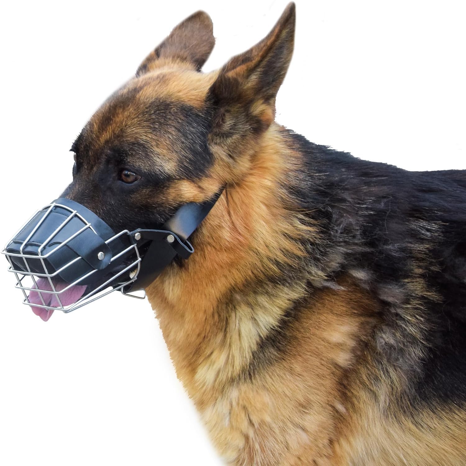 Pups&Pets Dog Metal Wire Mouth Cover | Safety Lightweight mask with Adjustable Strap | Durable Anti-bite Muzzle for Pets and Dogs (X-Small) 4