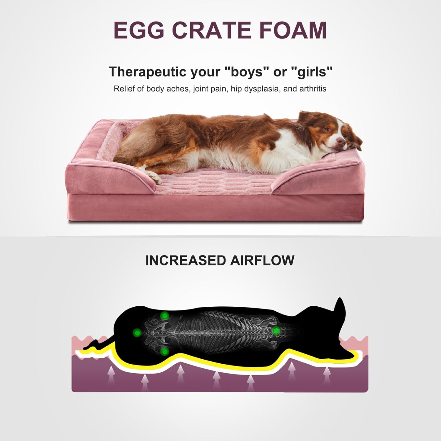 Ultimate Comfort: Reviews of FURTIME Orthopedic Dog Beds for Large Dogs