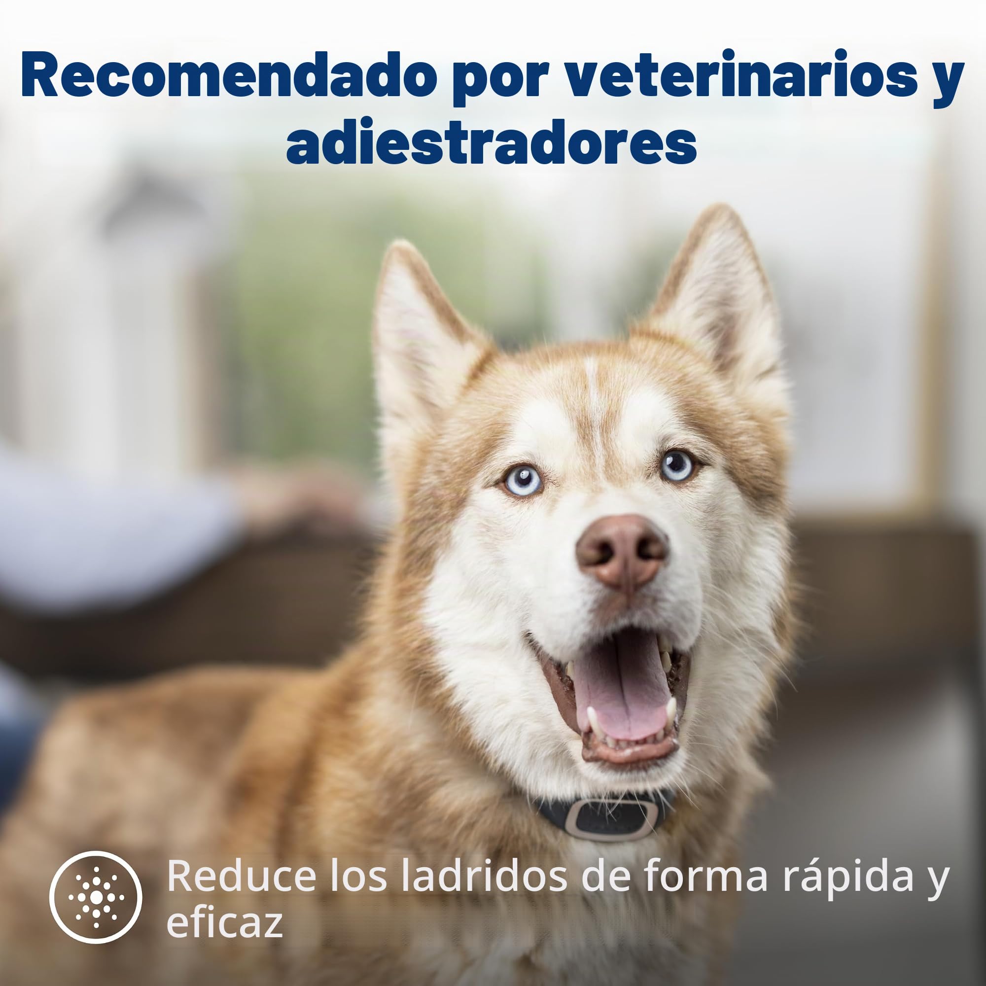 PetSafe Collar Antiladridos