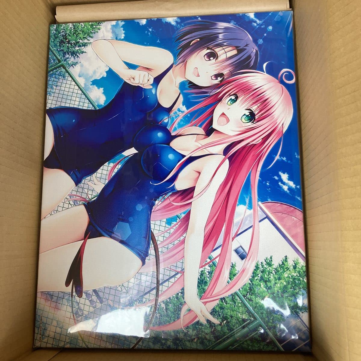 To LOVEる-とらぶる-15周年記念原画展 キャンバスアート ララ