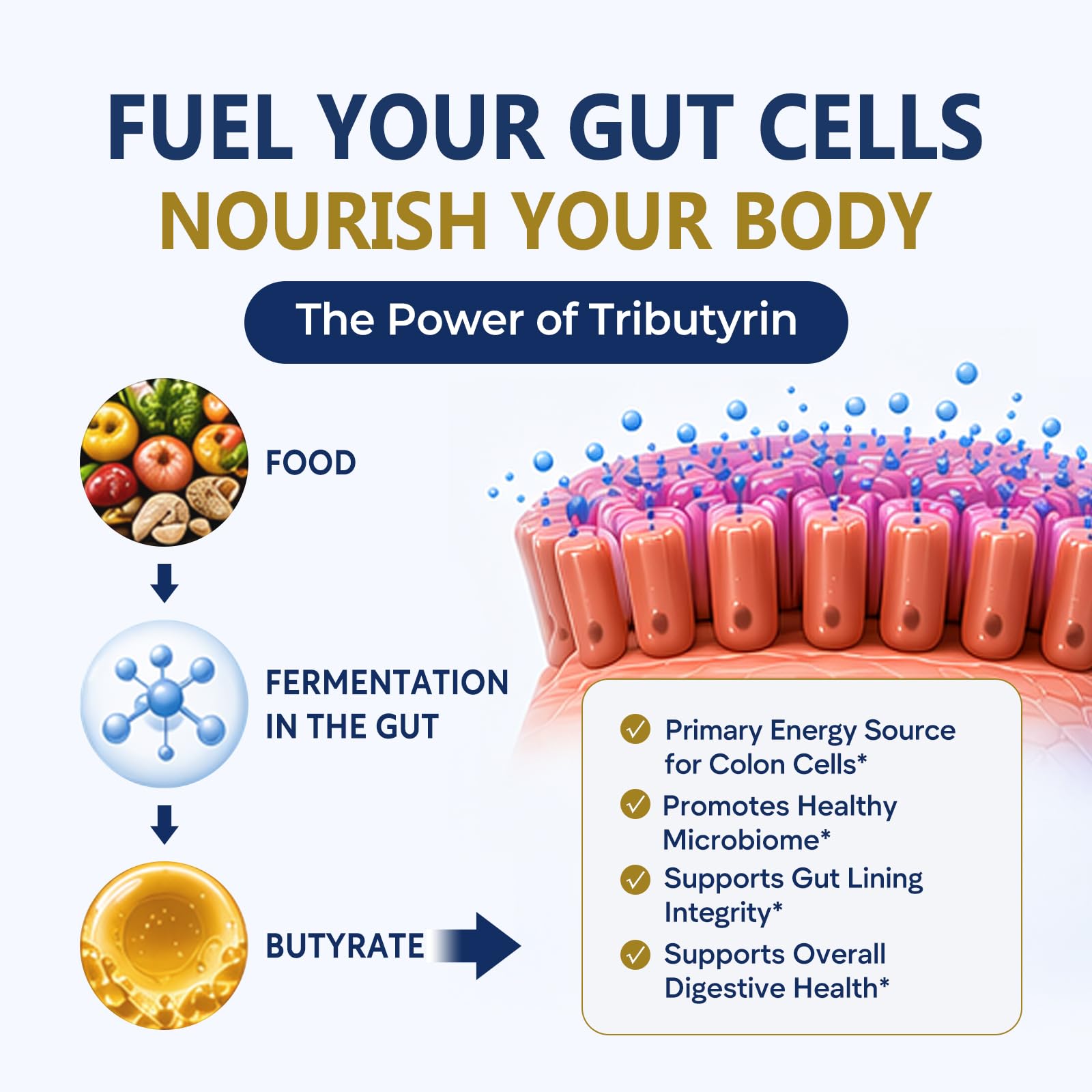 Butyrin Complete Butyrate Supplement with Tributyrin for Gut Health — Amazon image 4