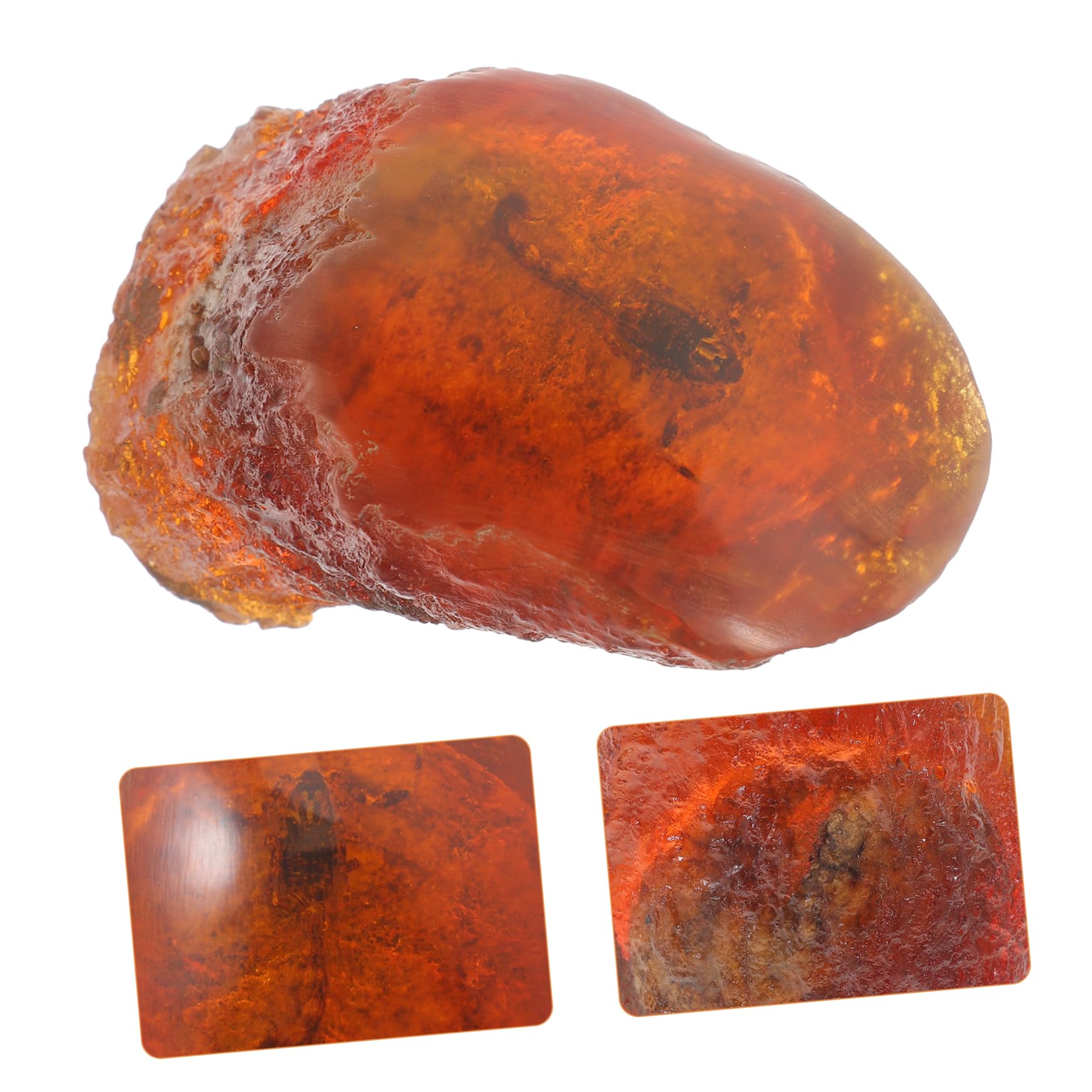 Anneome Amber Sample Amber Insect Amber Stones Insect Sample Unique Stones Insect Ornament Insect Stone Specimen Insect Amber Specimen Insect Decor Amber Adornment Home Decor Resin