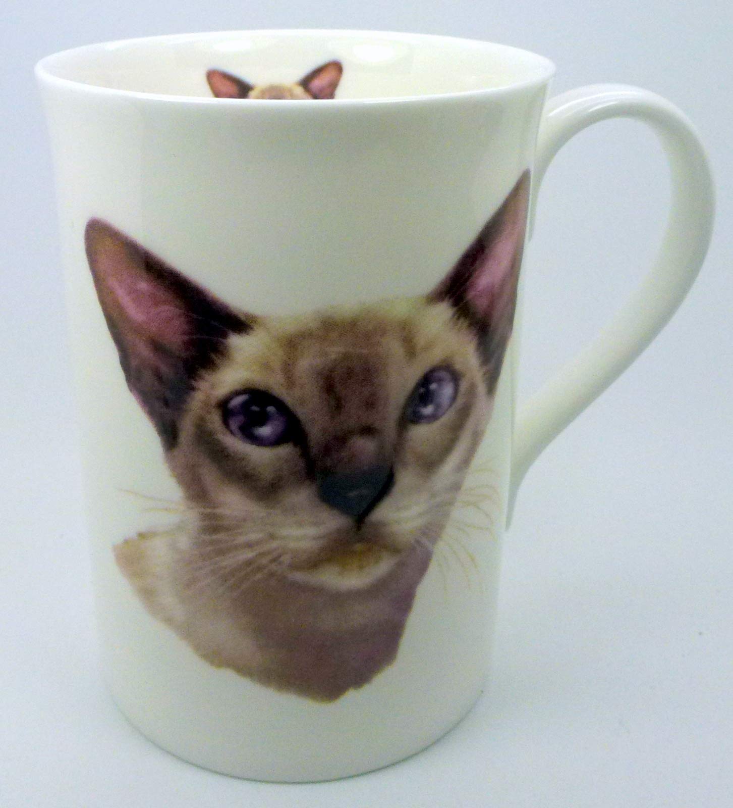 The Plate Collectors Shop Siamese Cat Fine Bone China 10 0Z Mug ~ Hand Decorated In Stoke On Trent