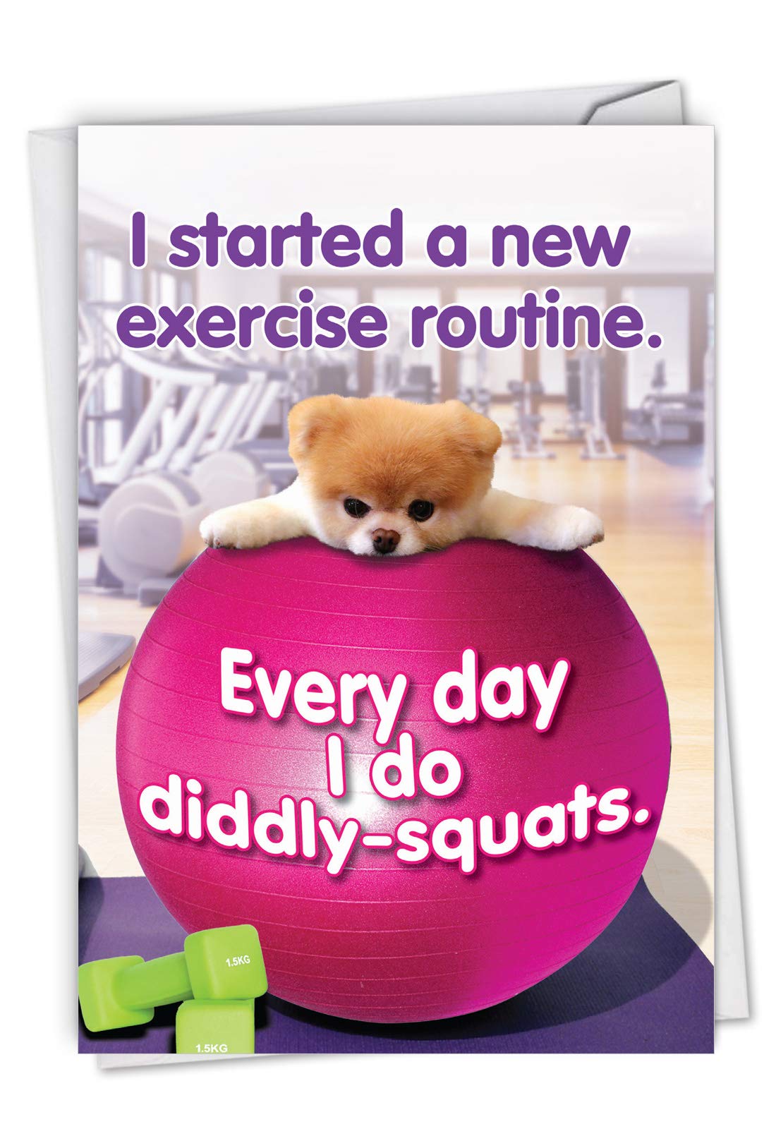 The Best Card Company - Funny Dog Birthday Card with Envelope - Cute Dog, Pet Animal Bday Notecard Stationery - Boo's New Exercise Routine C6870BDG