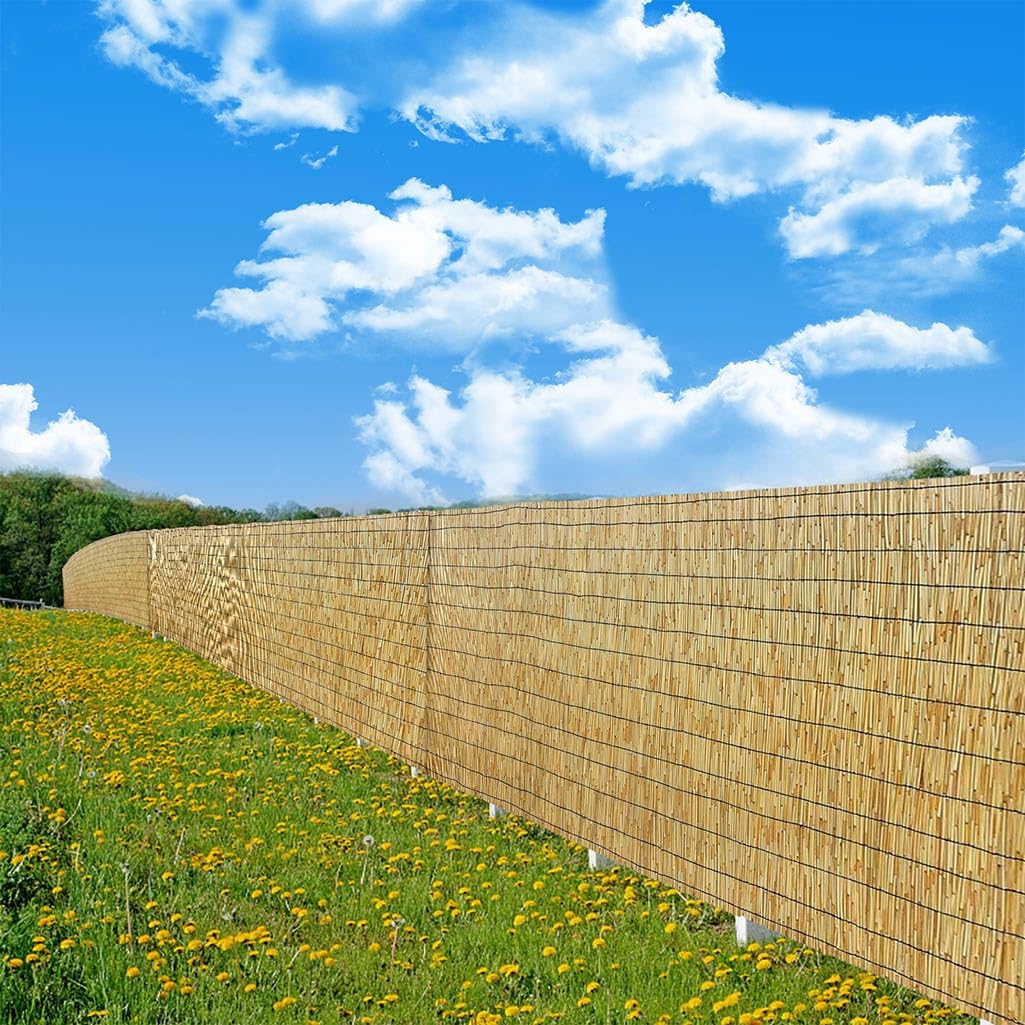 Bamboo Reed Privacy Fence Roll - Natural, 6ft High X 16.4ft Long, For Balcony/Garden Windbreak & Screening