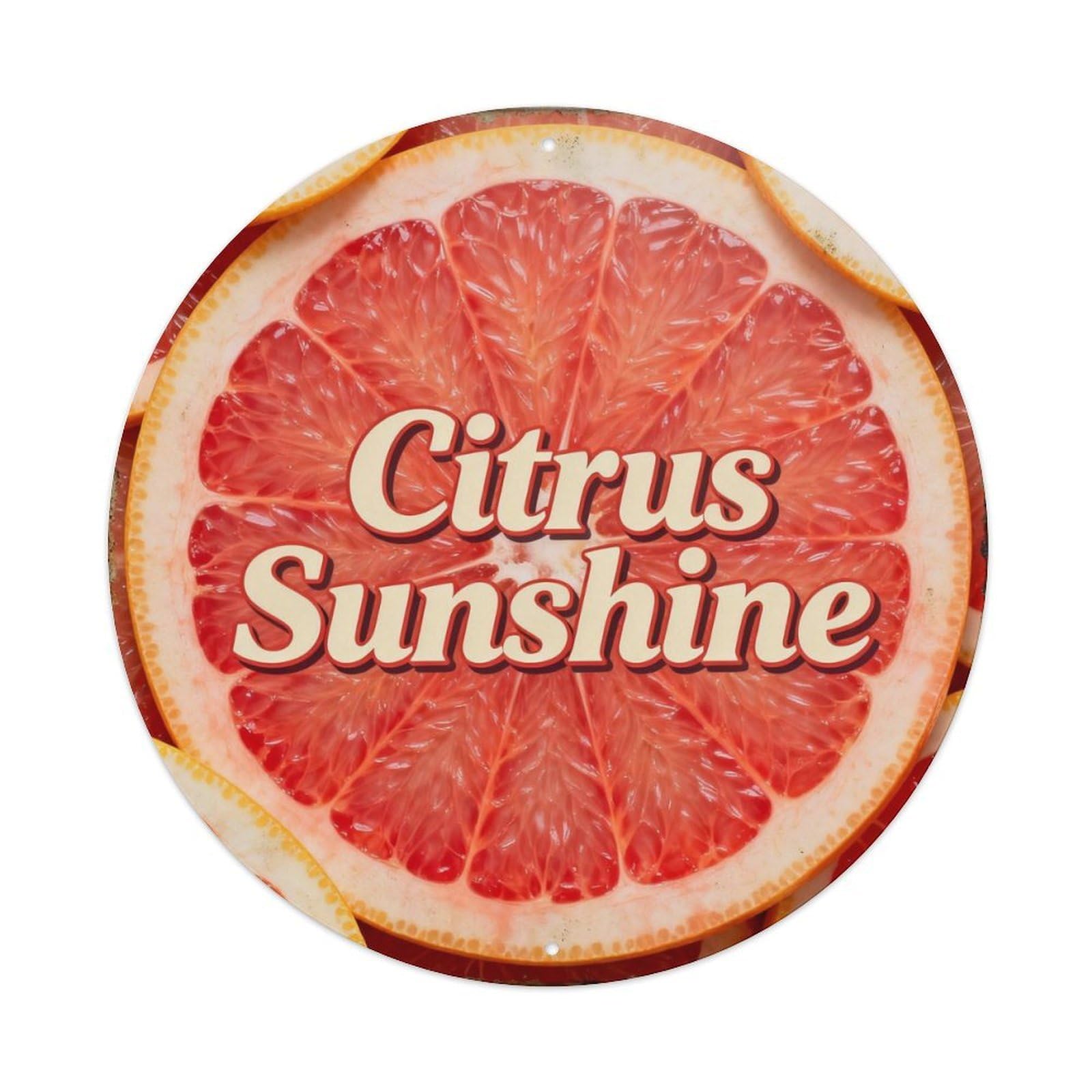 Citrus Sunshine Metal Tin Sign Plaque